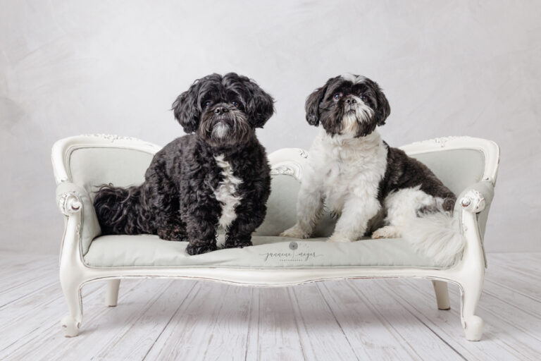 02072022 Jackson Joey 0004 Edit Edit 768x512