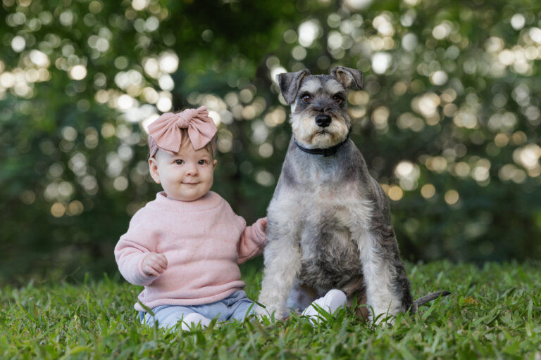 022 goldcoastdogphotographer 768x512