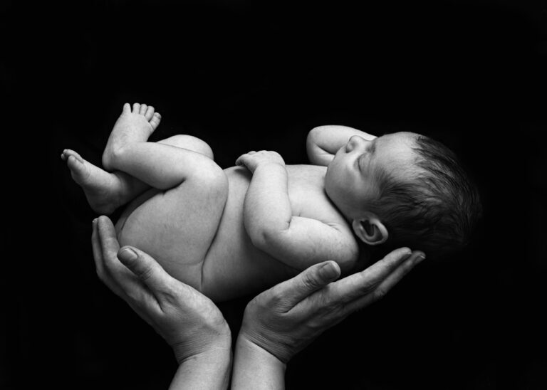 04Embellish 1 768x548