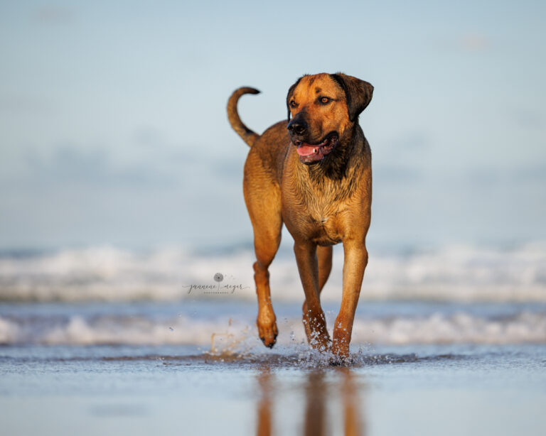 06022023 Brynne Time Daphne 0515 Edit Edit 768x614