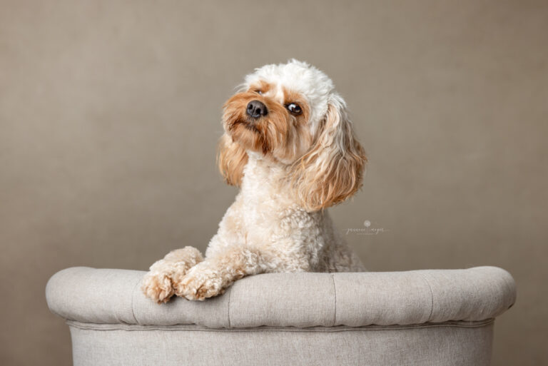 08122022 Josie 0029 Edit Edit 768x513