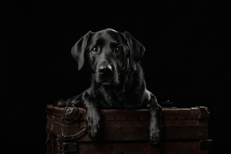 09042023 Tori 0026 Edit 2 Edit Edit 768x512