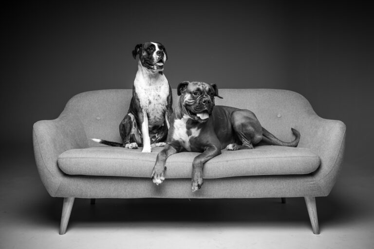 0A6A9782 copy 768x512