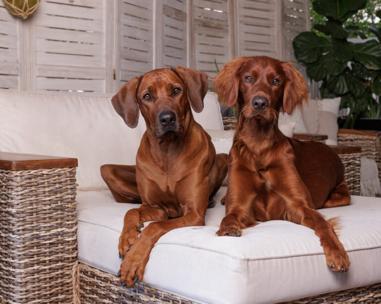 11072022 Gabi Cam 0018 768x614