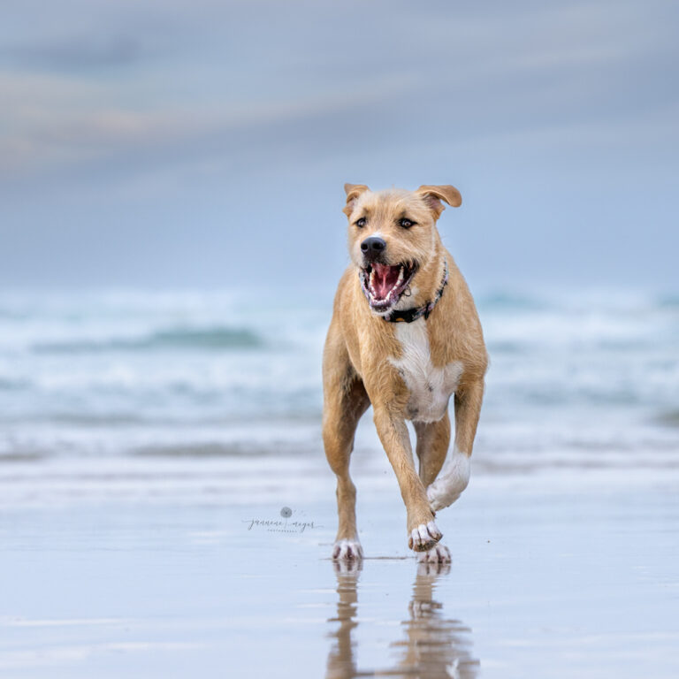 12112022 Pearl 0198 Edit Edit 3 768x768