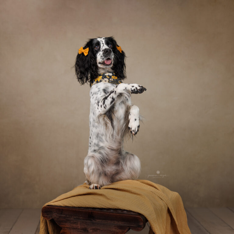 15092022 Jess Lexi Eros 0113 Edit Edit 768x768