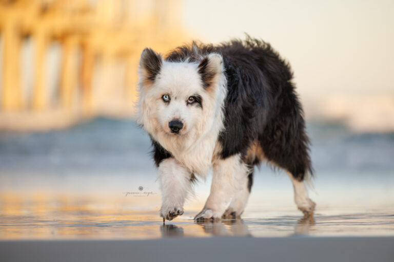 16022023 Lincoln Hayley Sam 0977 Edit Edit 1 768x512