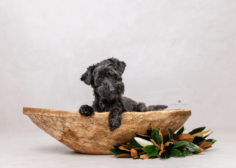 16042023 Kym Basil 0179 Edit Edit Edit Edit 2 768x548