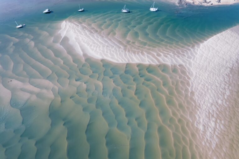 1770 05 Aug 2022 0156 768x512