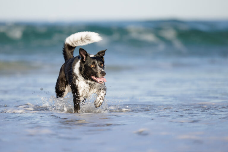 18072022 Kelsie Shelia 0397 Edit Edit 768x512