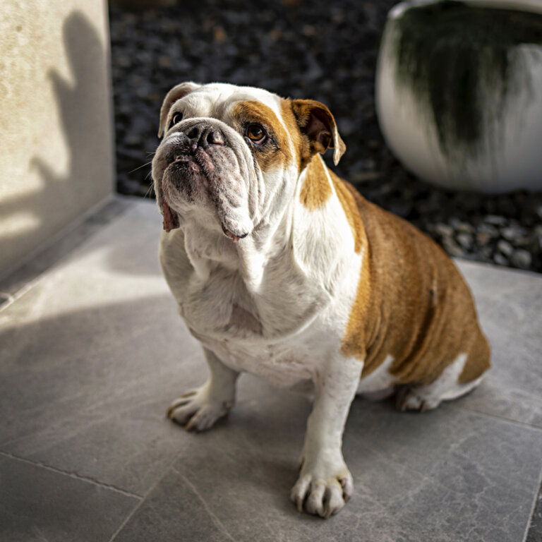 1S4A6267M3 12x12 1 768x768