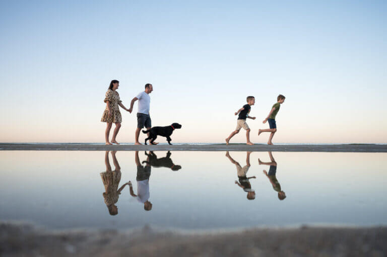 2212robin014 768x511