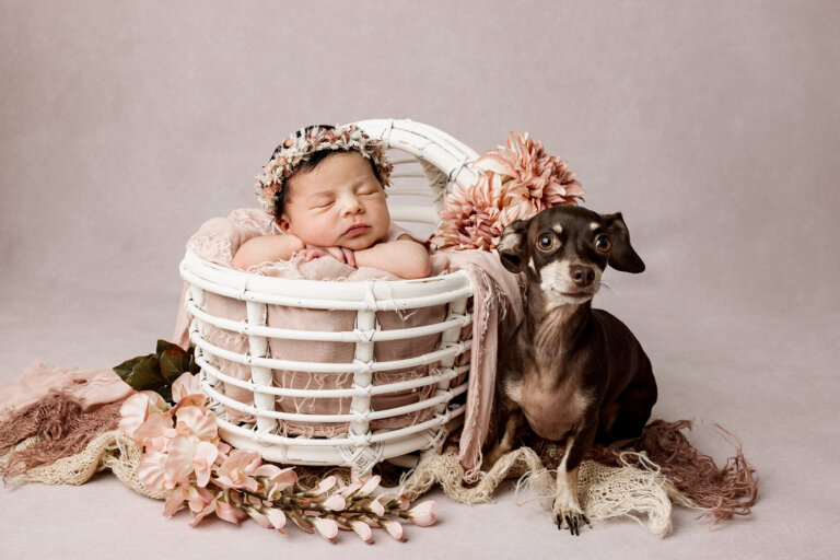 230223 Jessy Quintero Newborn Liv 124 Recovered 768x512