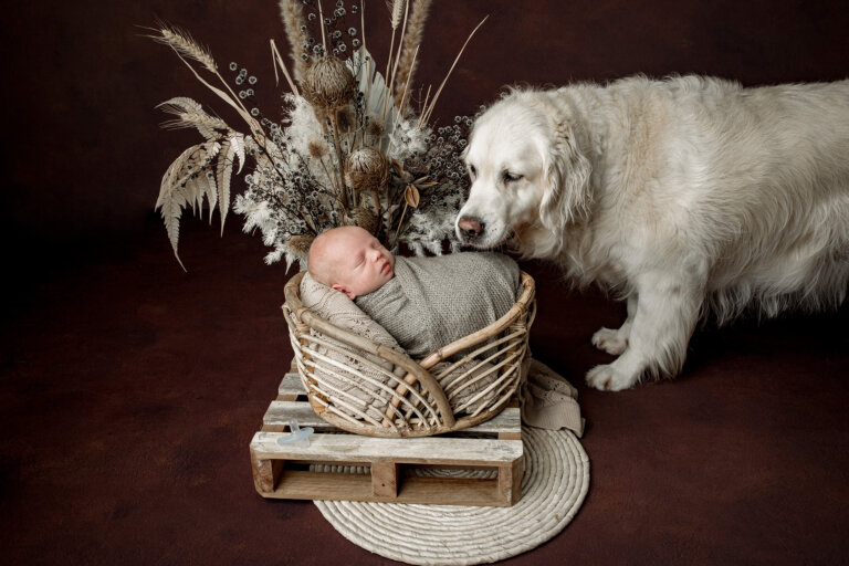 240111 Amy Kutzer Newborn Archer 34 768x512