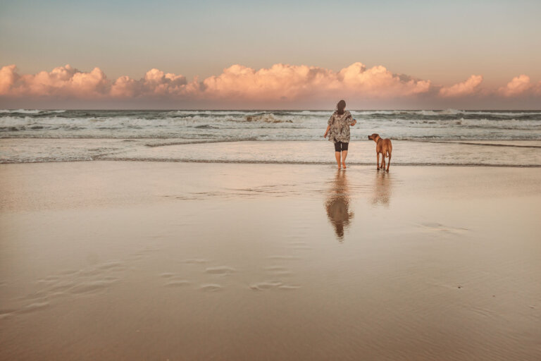 240514 SM AG Gold Coast Sunset Family Portraits Lubi Family 1431 1 768x512