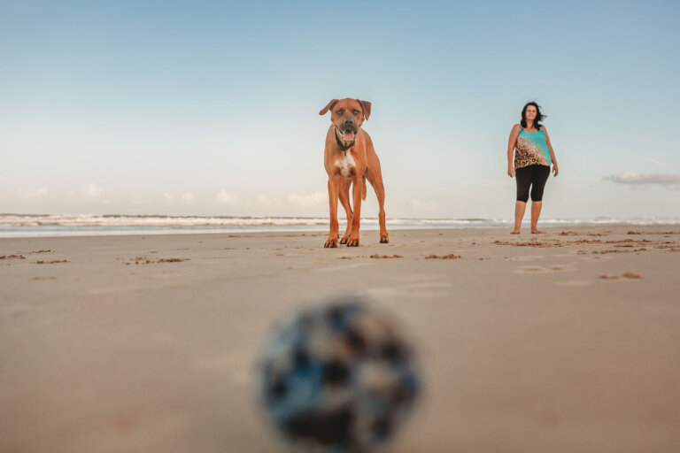 240514 SM Gold Coast Sunset Family Portraits Lubi Family 0647 1 768x512