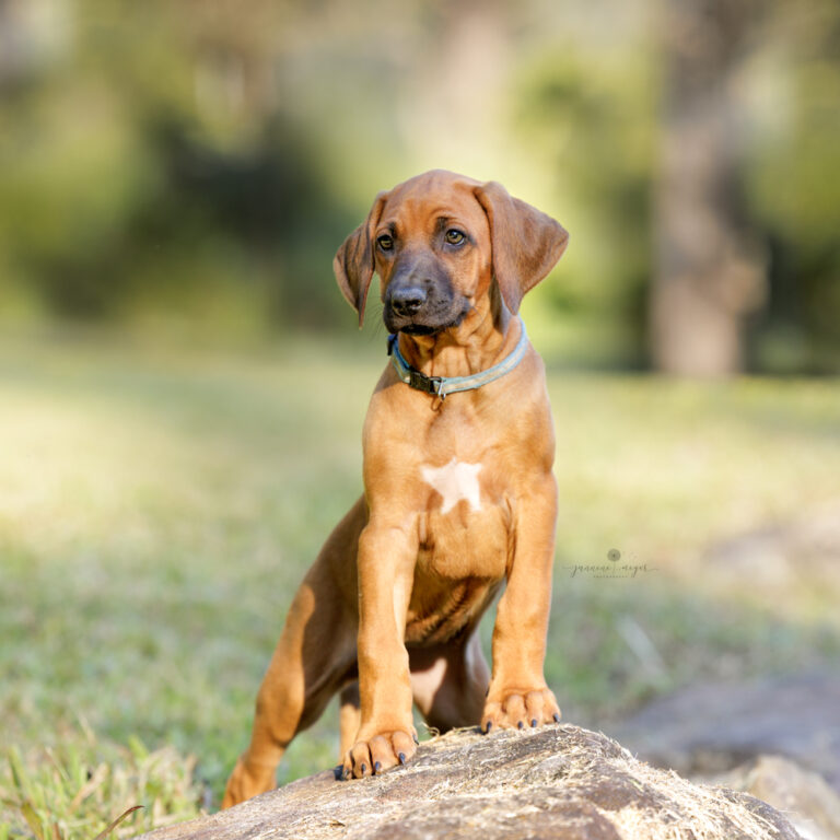 24062022 HALO DENISE 0794 Edit 2 Edit Edit 768x768