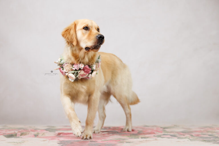 25032023 Melissa Piper 0122 Edit Edit Edit 768x512