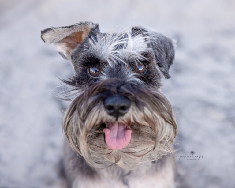 28102022 Banjo Carol Mark 0188 Edit 768x614