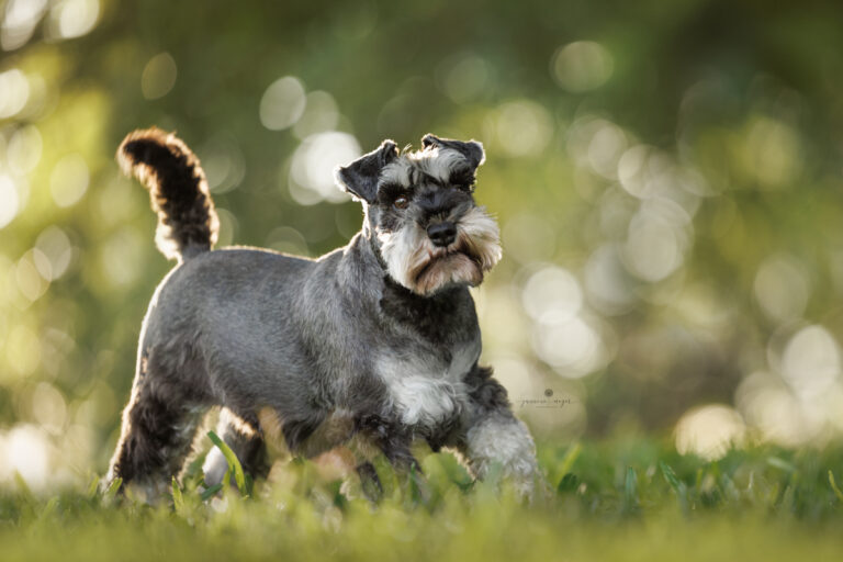 31032023 Molly Teagan George 0139 Edit Edit Edit Edit 768x512