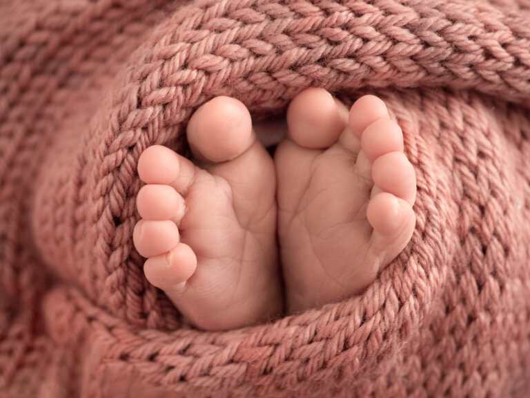 3160733 Edit 2 Edit Edit 768x576