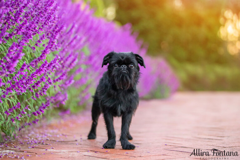 323161980 1262567467625023 1549865969597936816 n 768x512