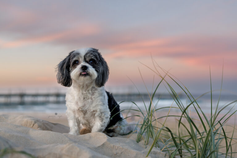 538 jannene meyer photography 768x512