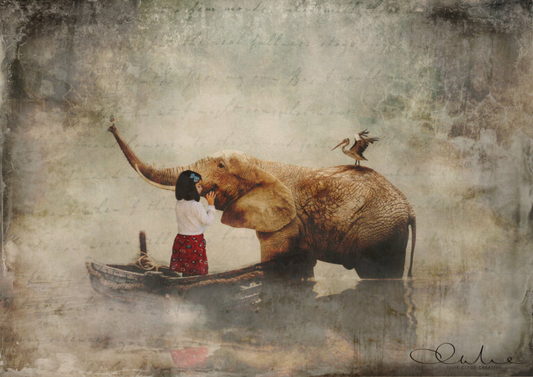 68247347 2444194945623437 7965873030687621120 n 768x543