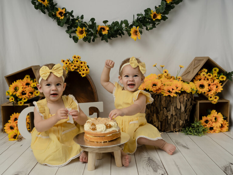 7250535 Edit Edit 768x576