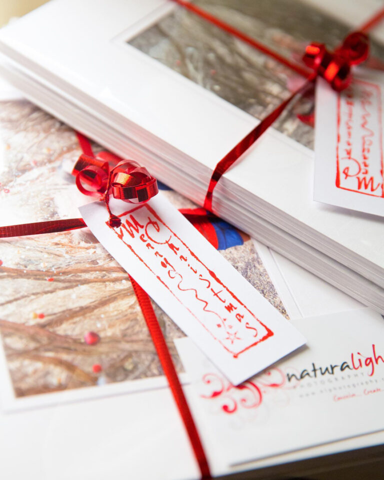 79116272 10157795890369308 2850862792729165824 n smaller 768x960