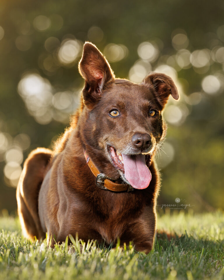 95 jannene meyer photography 768x960