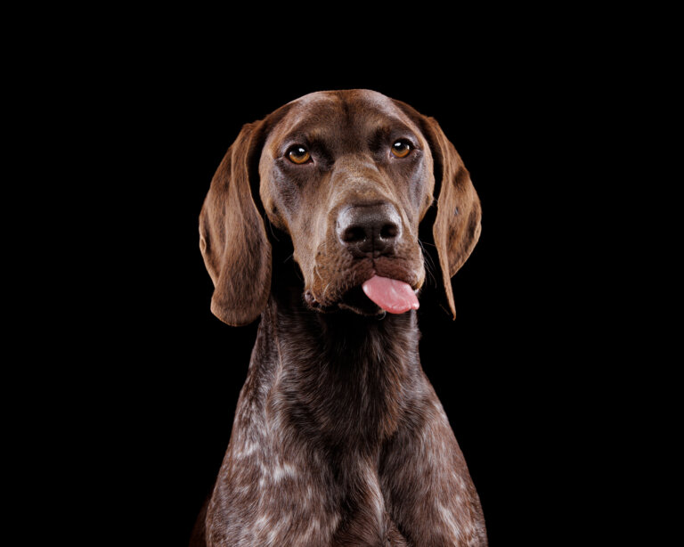 9Y2A0056 Edit 768x614