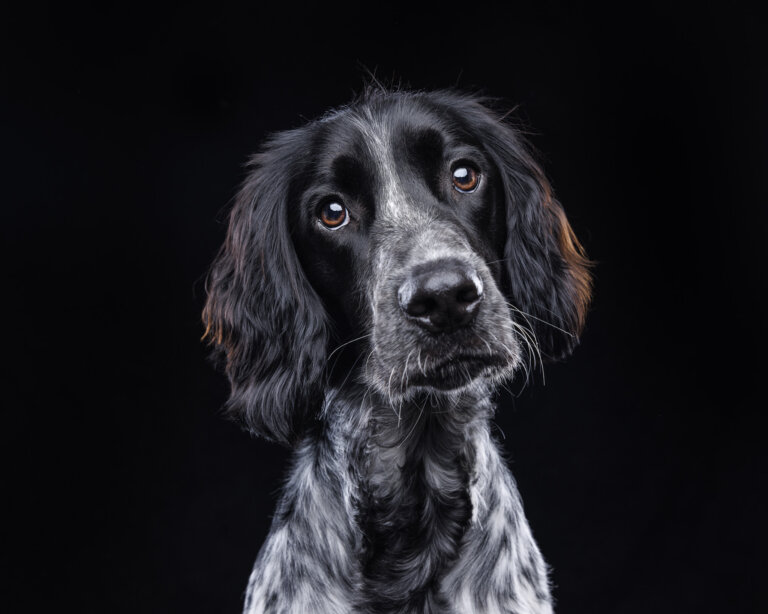 9Y2A6323 Edit 768x614