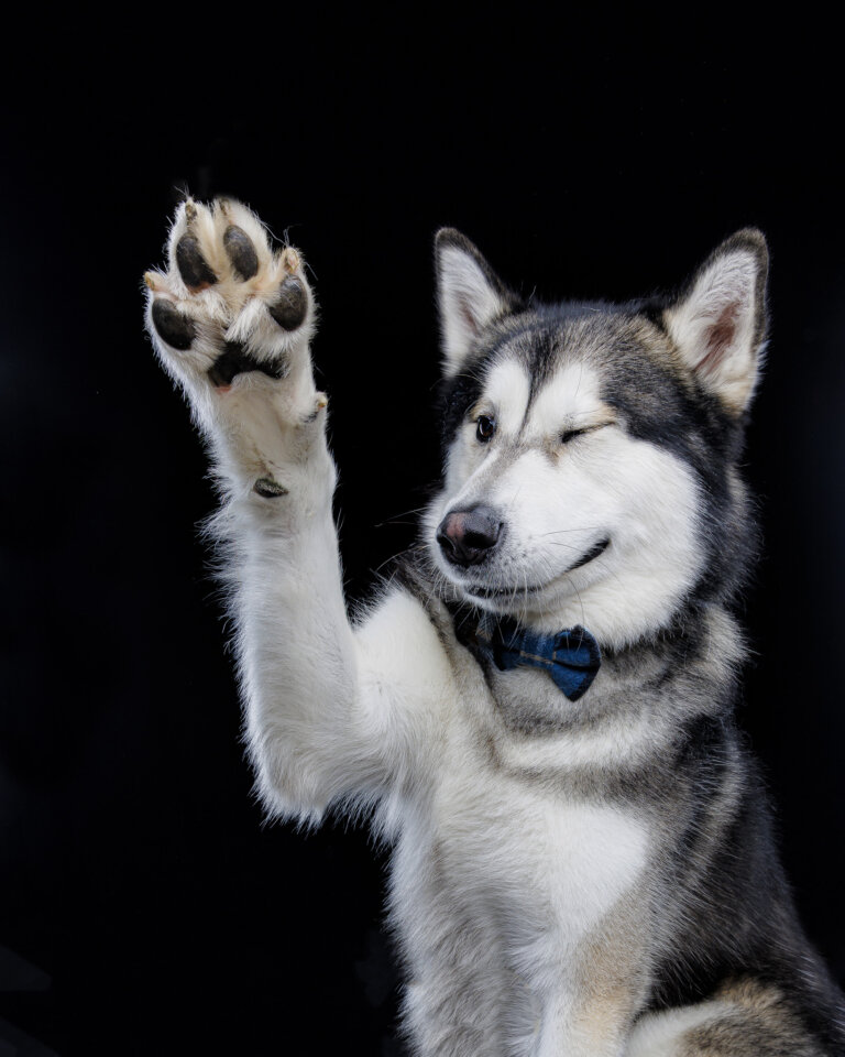 9Y2A6846 Edit 768x960