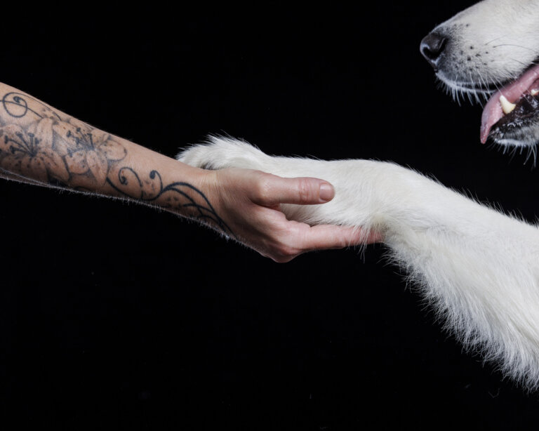 9Y2A6861 Edit 768x614