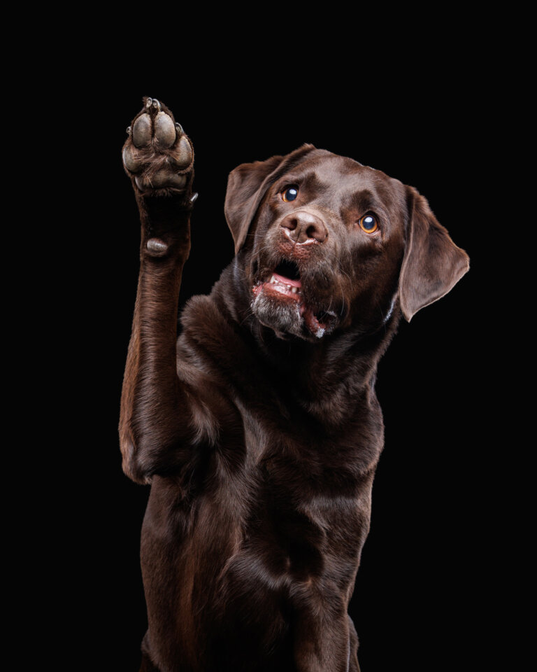 9Y2A8612 Edit 768x960