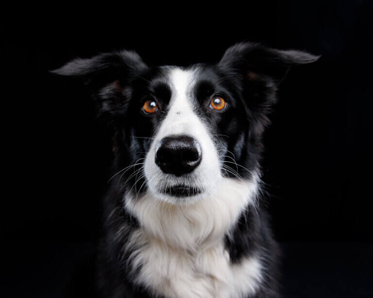 9Y2A9236 Edit 768x614