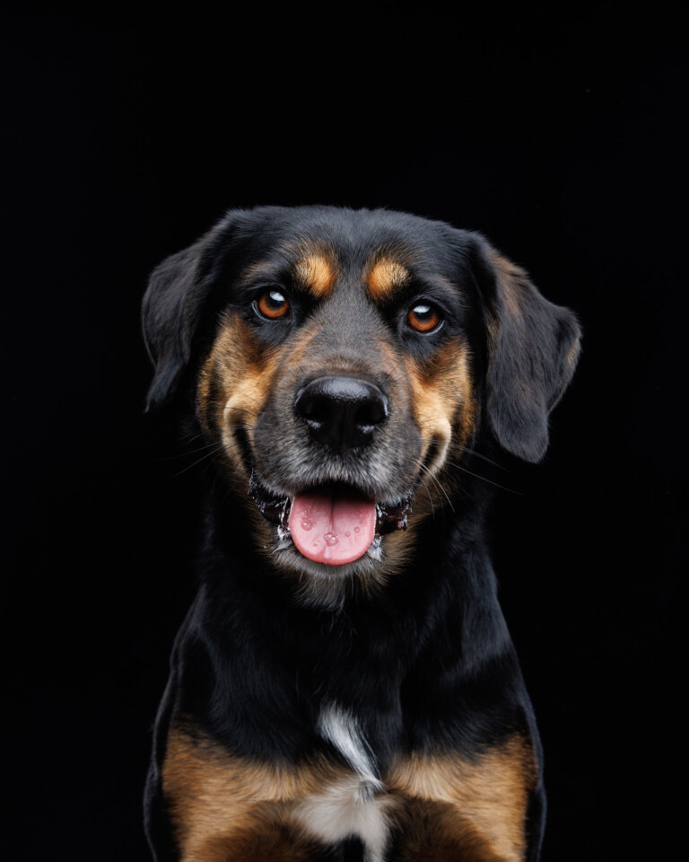 9Y2A9960 Edit 768x960