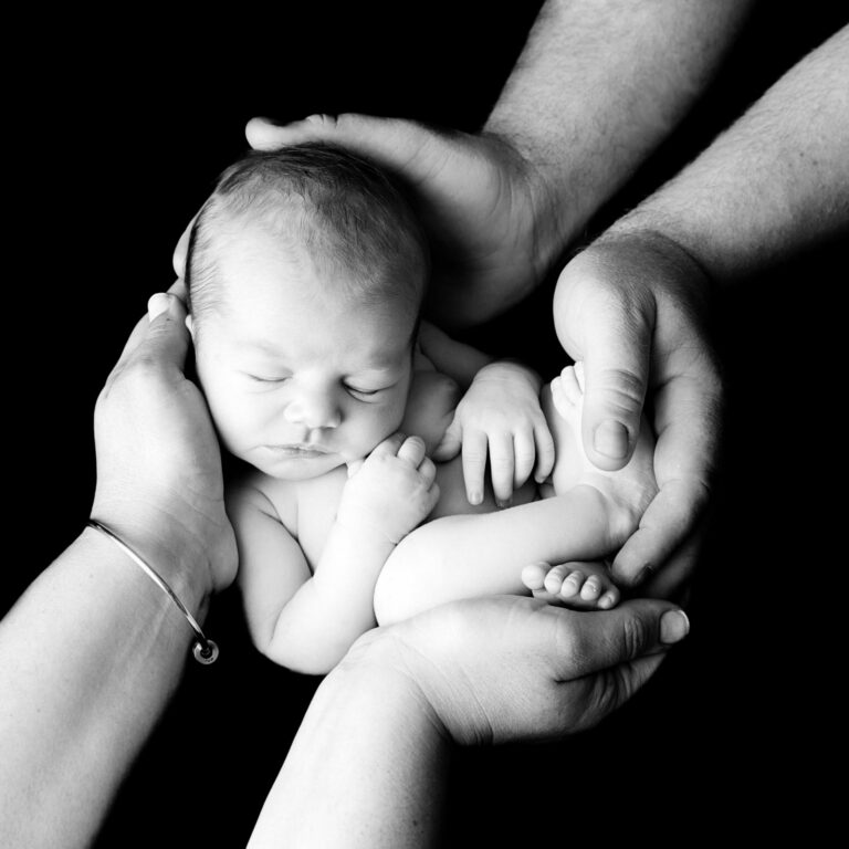 A46A4594 copy6x8tt copy scaled 1 768x768