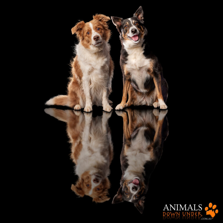 ADU Molly Peaches 1905232805 6930 V3 768x768