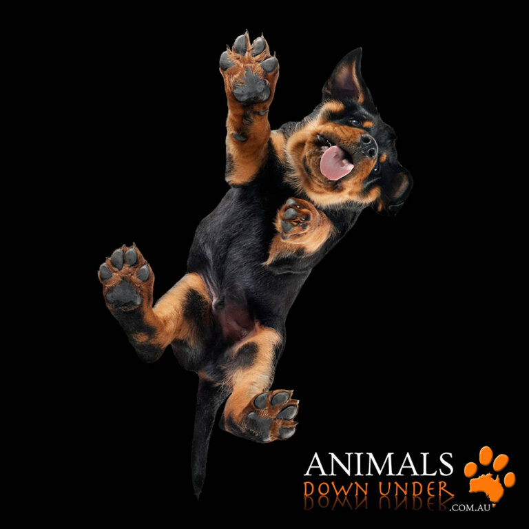 ADU Rebbecca Key Axel 090923  4 768x768