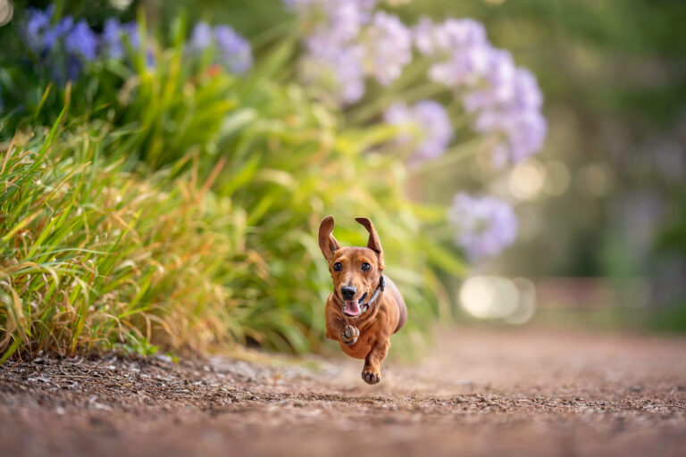 Aloy 4099 v2 768x512