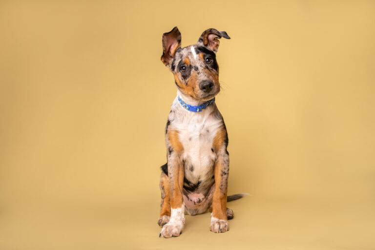 Ammo 9384 Edit 768x512