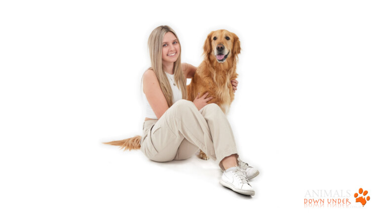 Animals Down Under Sonny Golden Retriever  35 768x432