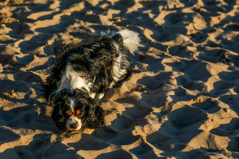 Anupama Kidd 008 websize 768x512