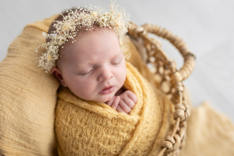 Callegari 47 1 768x512