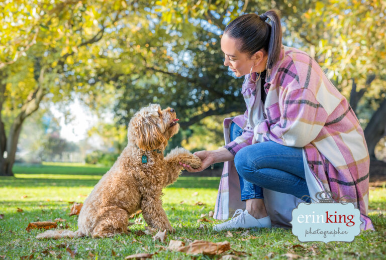 Girl with Cavoodle dog - pet photography Girl with Cavoodle dog - pet photography