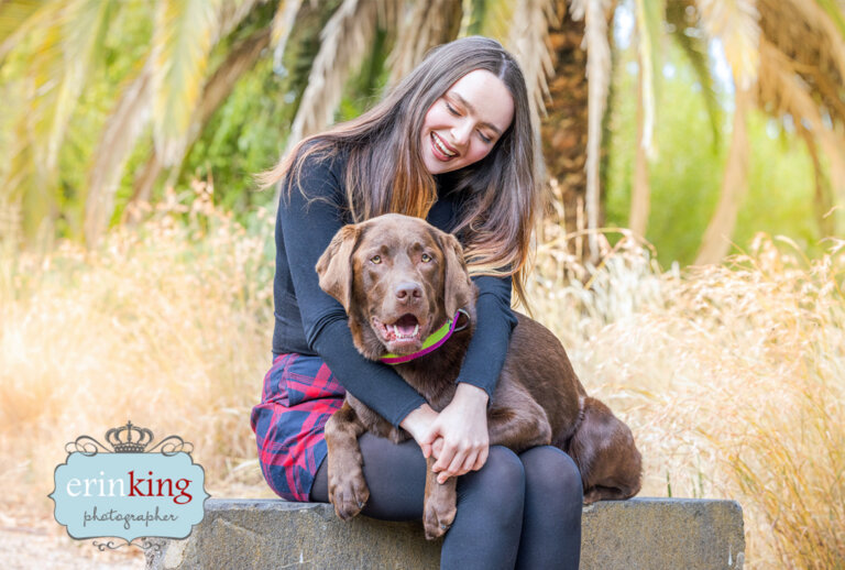 Labrador dog - pet photography Labrador dog - pet photography