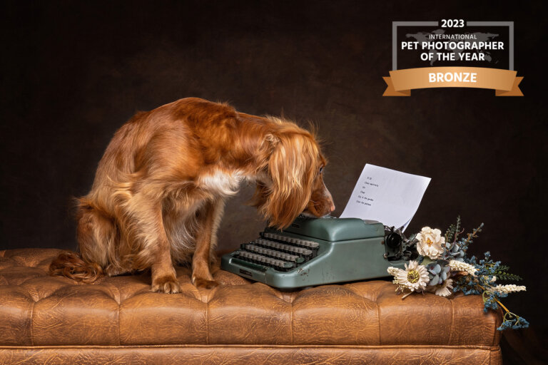 DSC02532 PPY bronze 768x512