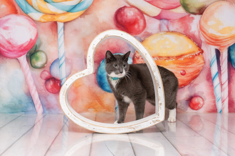 DSC05667 12x8 1 768x512